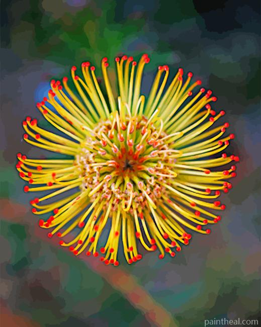 Yellow Protea Painting By Numbers Kits