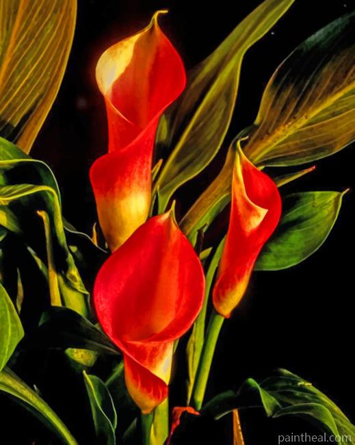 Arum Lilies Painting By Numbers Kits