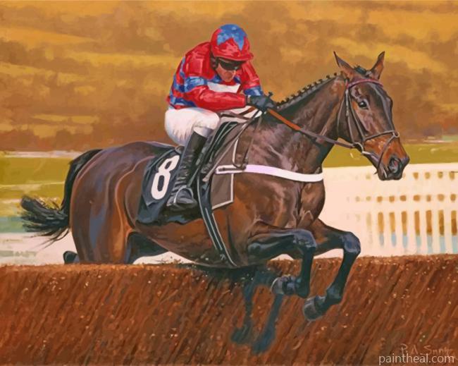 Horse Racing Painting By Numbers Kits