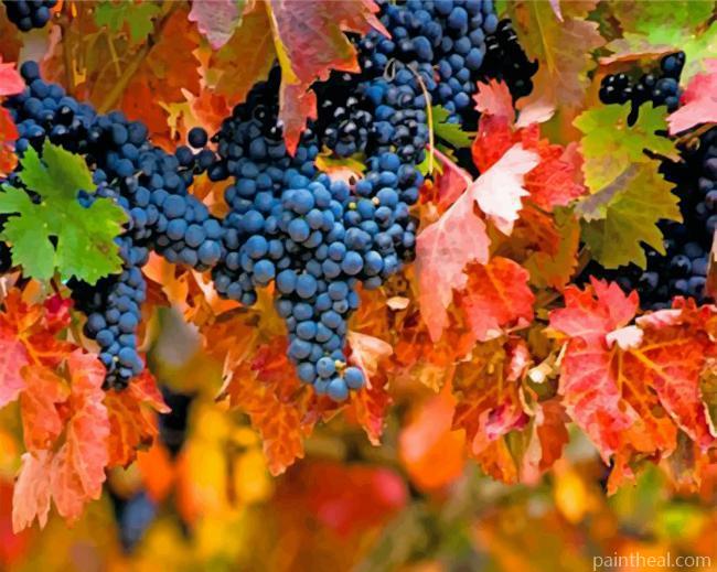 Vineyard And Leaves Painting By Numbers Kits