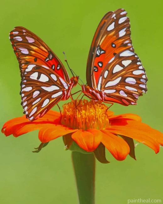 Orange Monarch Butterfly Painting By Numbers Kits