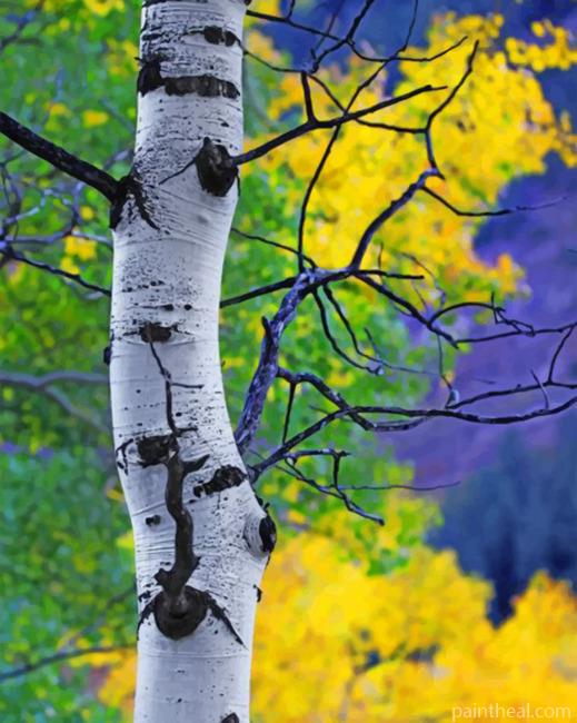 Aspen Tree Painting By Numbers Kits