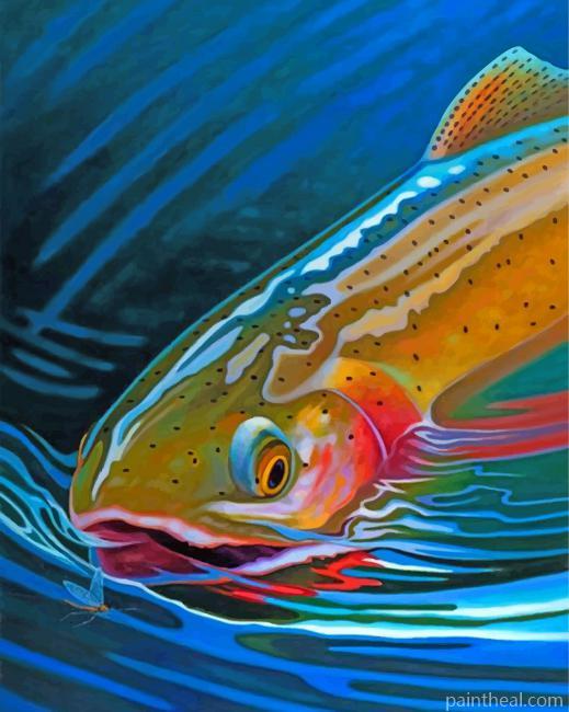 Aesthetic Trout Fish Painting By Numbers Kits