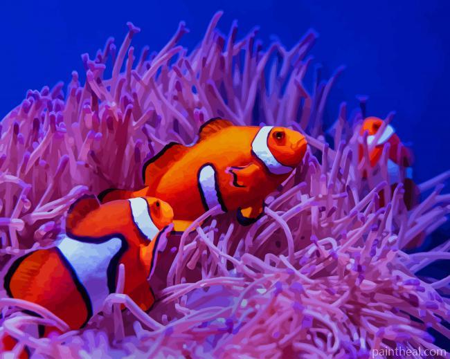 Clownfishes Painting By Numbers Kits
