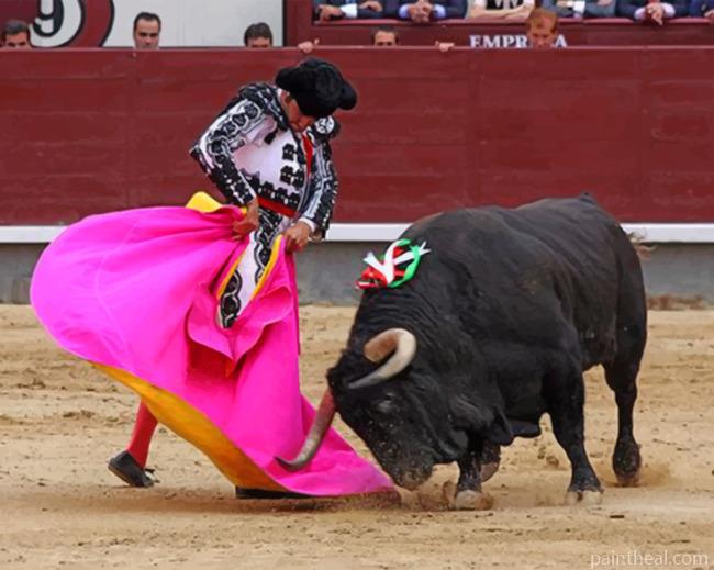 Aesthetic Brave Bullfighter Painting By Numbers Kits