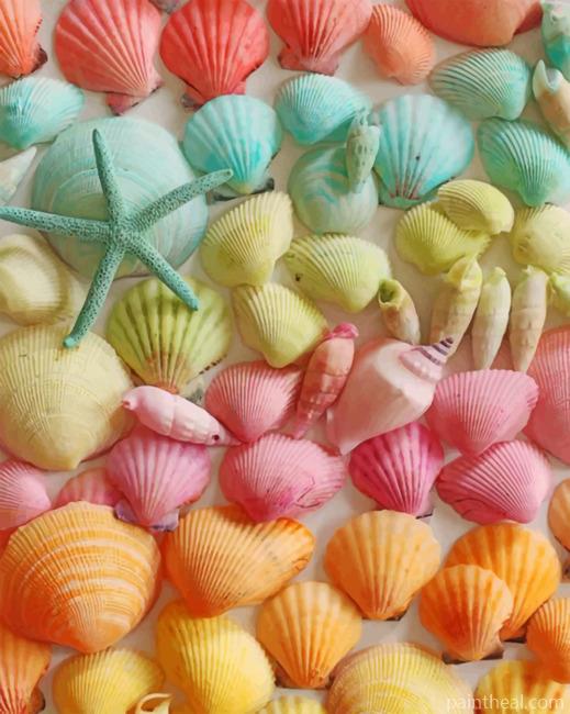 Colorful Seashell Painting By Numbers Kits