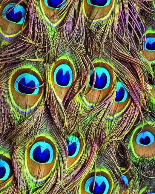 Peacock Feather Painting By Numbers Kits