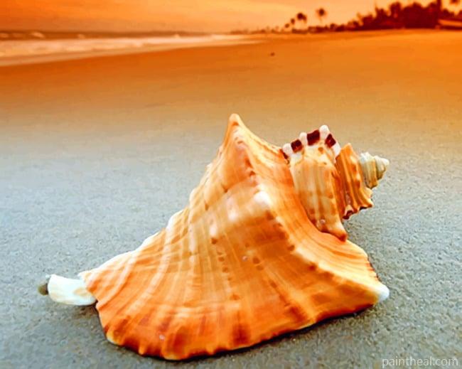 Conch Seashell Painting By Numbers Kits