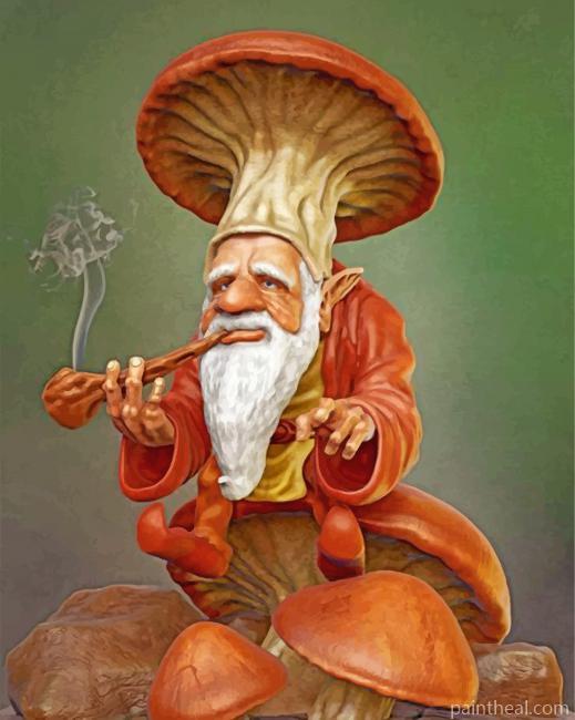 Dwarf Smoking Painting By Numbers Kits
