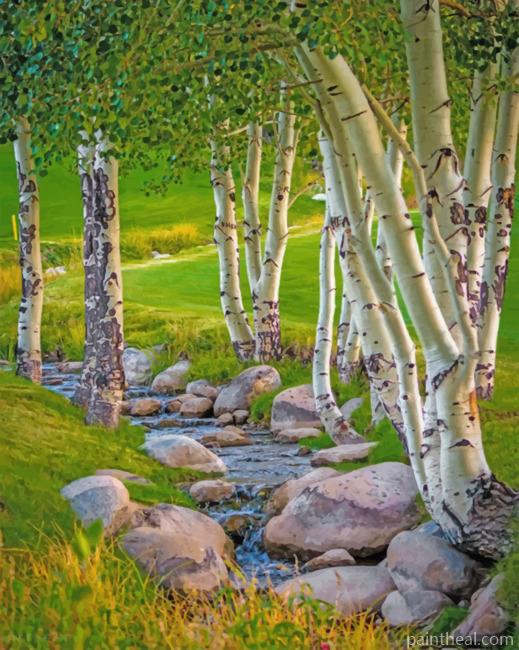 Aesthetic Aspen Trees Painting By Numbers Kits