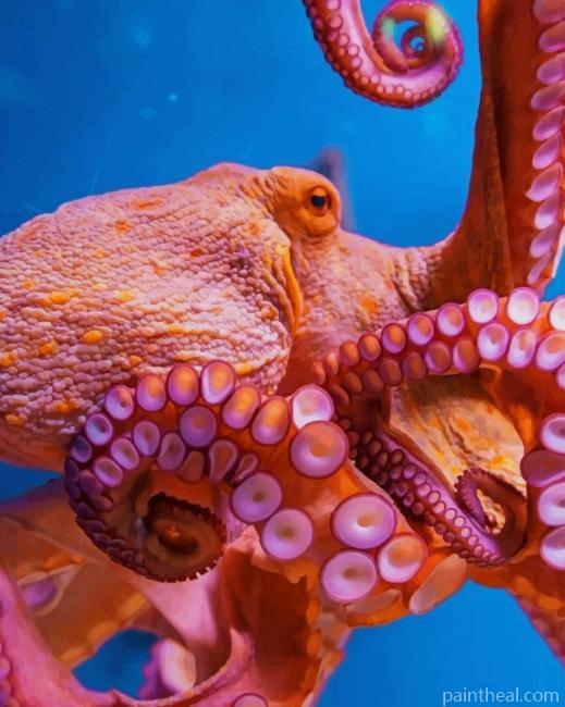 Octopus Animal Painting By Numbers Kits