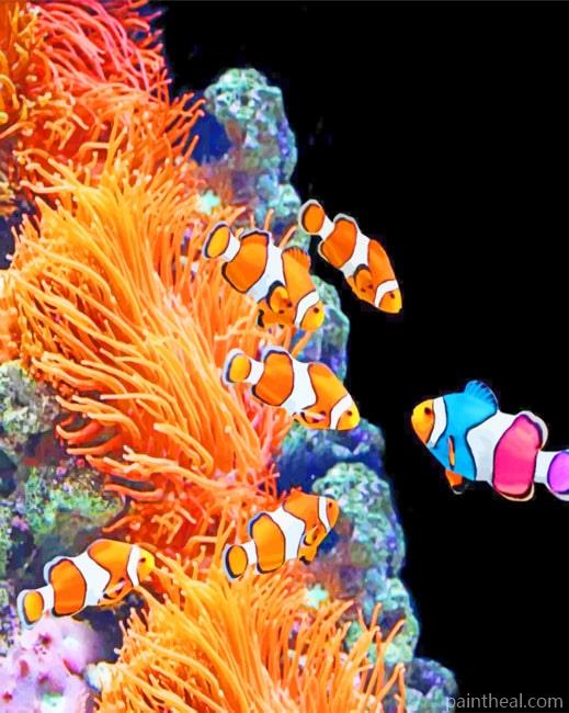 Aquarium Clownfish Painting By Numbers Kits