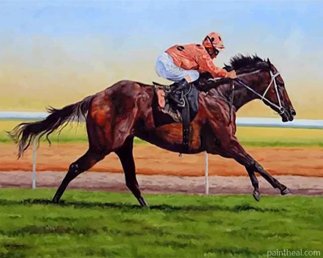 Horse Racer Painting By Numbers Kits
