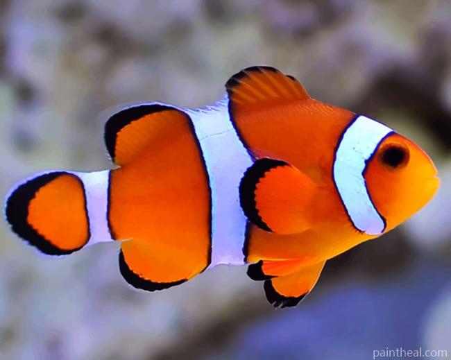 Aquarium Clown Fish Painting By Numbers Kits