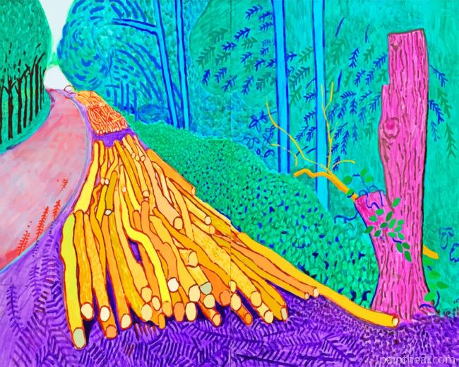 David Hockney Art Painting By Numbers Kits
