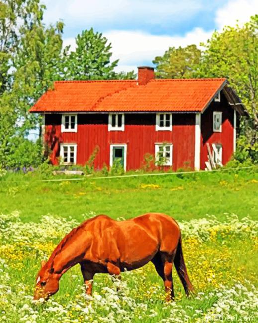 Sweden Farm Painting By Numbers Kits