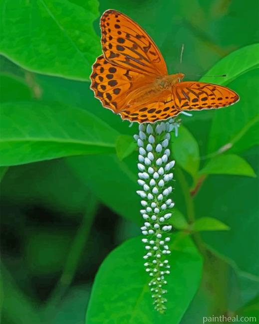 Eastern Orange Butterfly Painting By Numbers Kits
