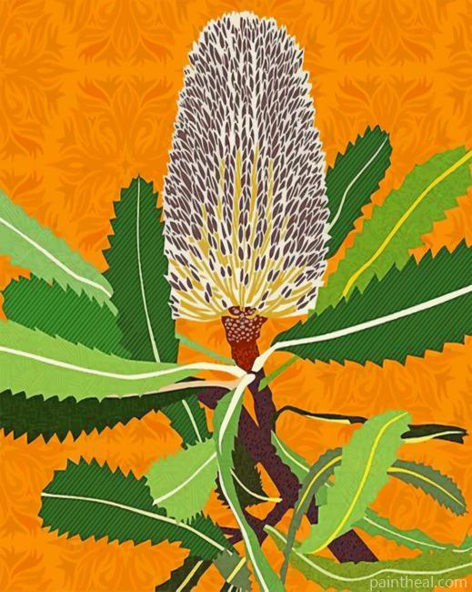 Banksias Native Australian Flower Painting By Numbers Kits