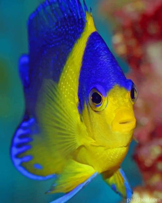 Coral Reef Fish Painting By Numbers Kits