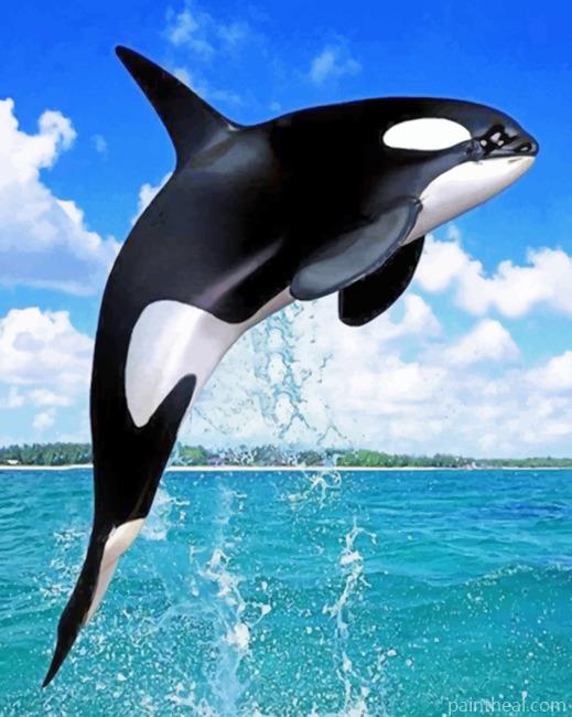Whale Painting By Numbers Kits