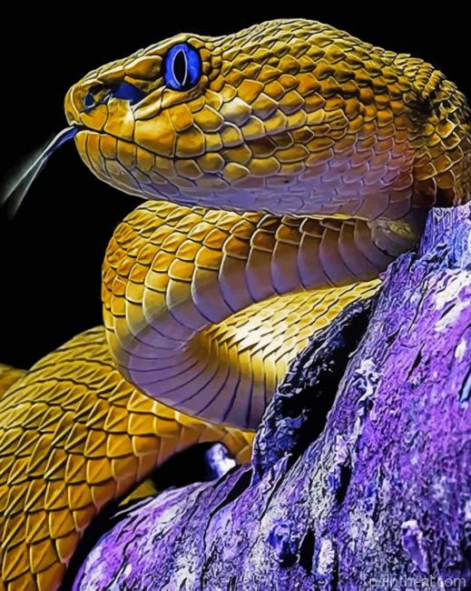 Yellow Serpent Painting By Numbers Kits