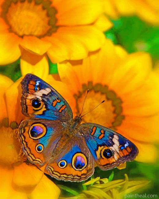 Buckeye Butterfly On A Sunflowers Painting By Numbers Kits