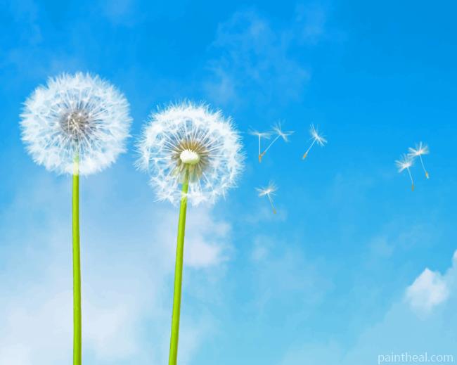 Dandelions And Blue Sky Painting By Numbers Kits