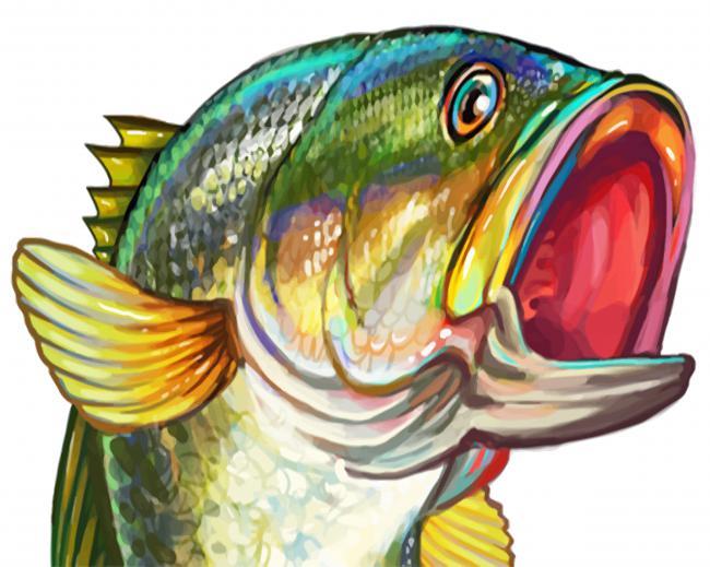 Aesthetic Bass Fish Painting By Numbers Kits