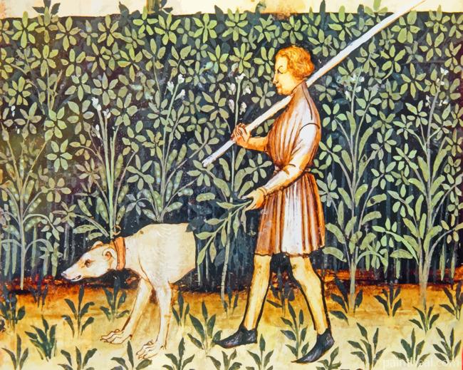 The World Of Medieval Dogdom Painting By Numbers Kits