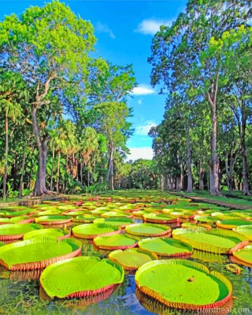 Mauritius North Island Tour Painting By Numbers Kits