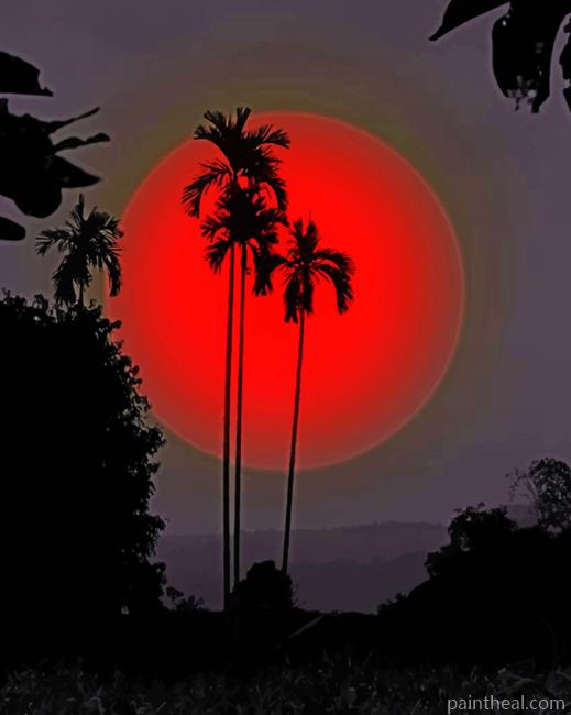 Palms Silhouette Sunset Painting By Numbers Kits