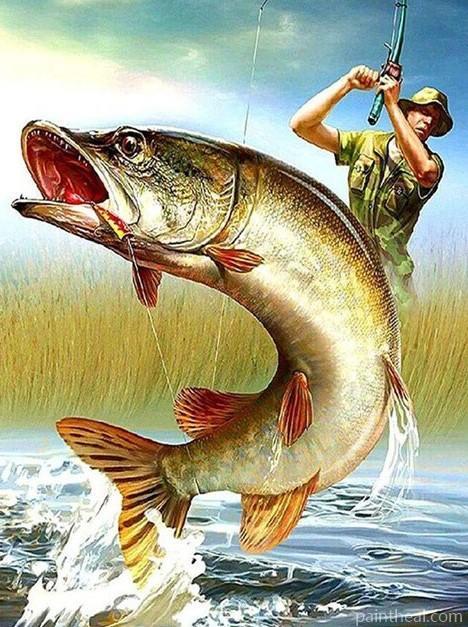 Fish And Fisherman Painting By Numbers Kits