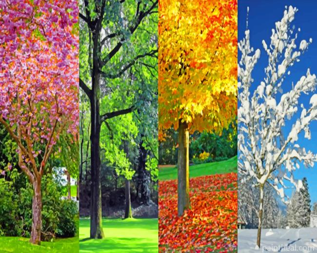 Aesthetic Four Seasons Painting By Numbers Kits