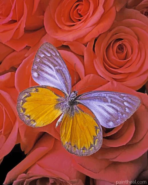 Aesthetic Butterfly Painting By Numbers Kits