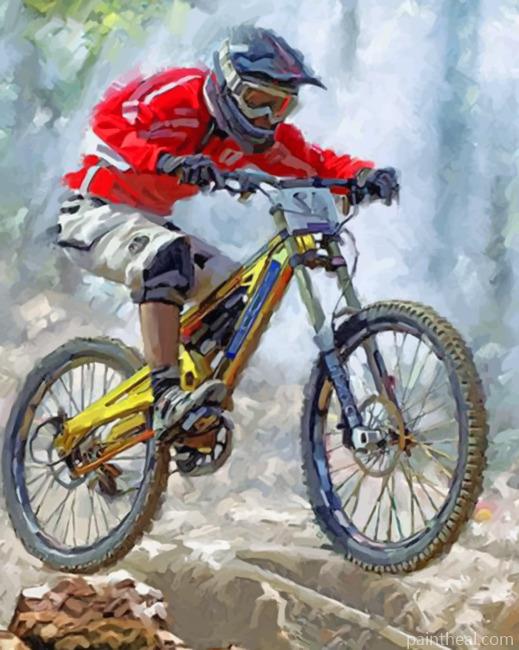 Cool Mountain Biker Painting By Numbers Kits