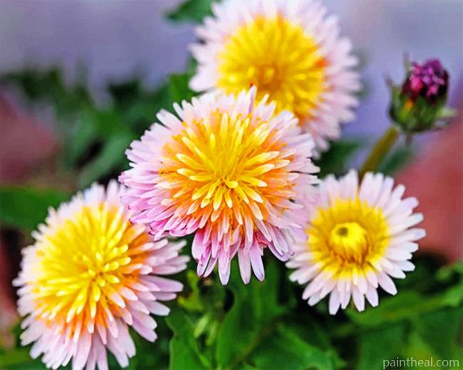 Pink Dandelions Painting By Numbers Kits