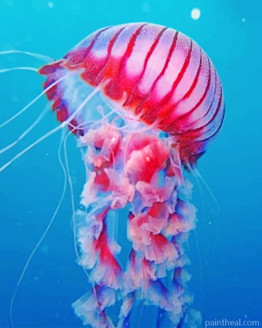 Pink Jellyfish Swimming Painting By Numbers Kits