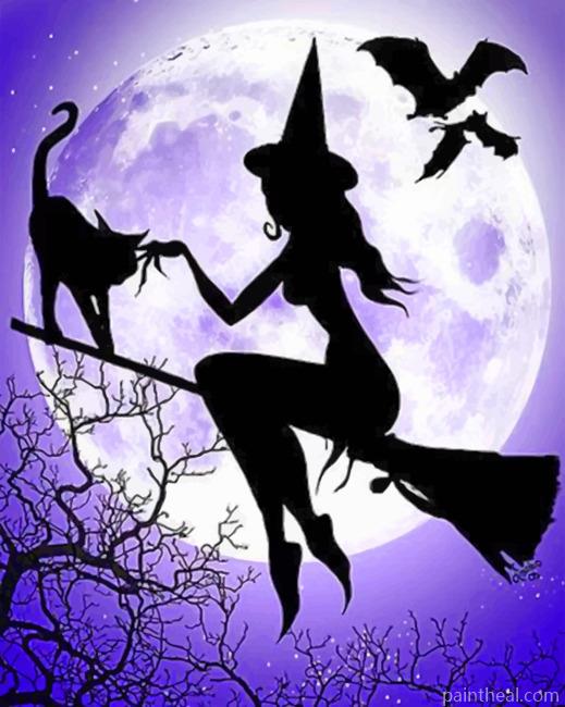 Witch And Her Cat Painting By Numbers Kits