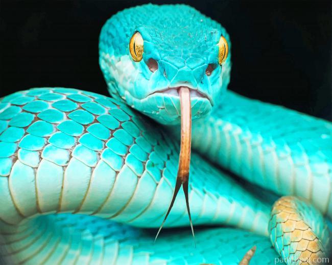 Blue Snake In The Moment Painting By Numbers Kits
