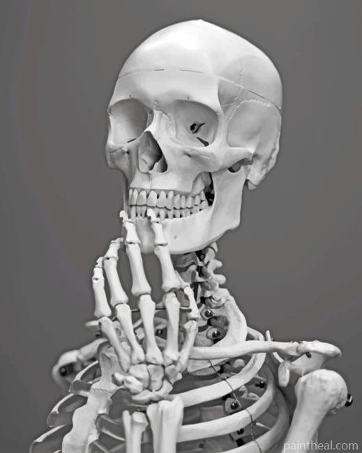 Black And White Skeleton Painting By Numbers Kits
