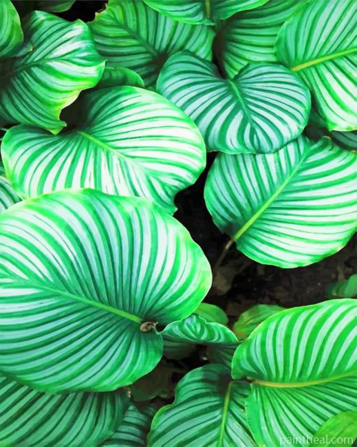 Beautiful Leaves Painting By Numbers Kits