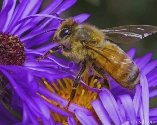 Bee On A Purple Flower – Diamond painting Painting By Numbers Kits