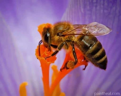 Honey Bee Purple Flower – 5D Diamond Paintings Painting By Numbers Kits