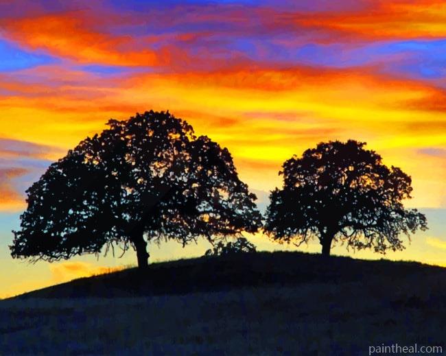 Sunset Trees Painting By Numbers Kits