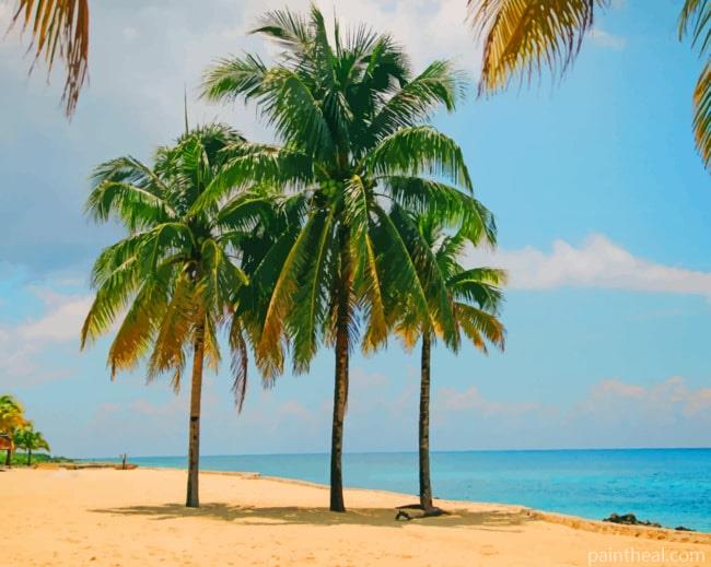 Palm Trees In The Beach Painting By Numbers Kits