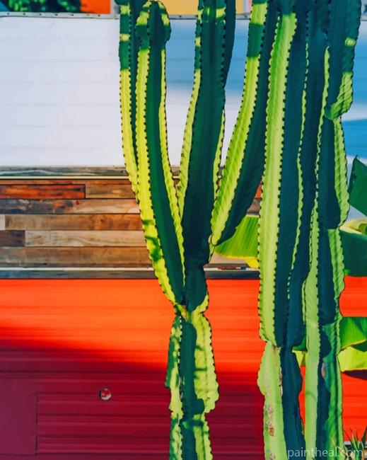 Sunny Green Cactus Painting By Numbers Kits