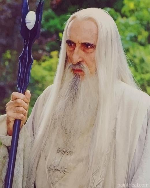 Saruman Character Painting By Numbers Kits