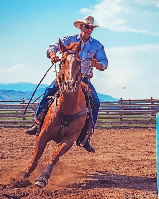 Cowboy And His Horse Painting By Numbers Kits