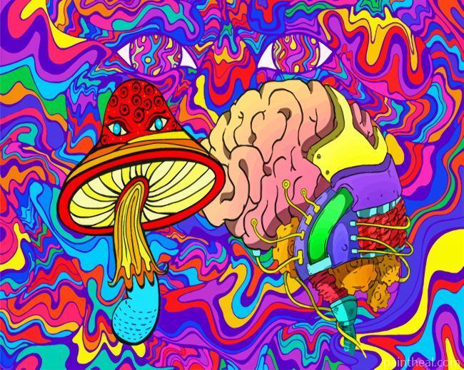 Aesthetic Psychedelic Painting By Numbers Kits