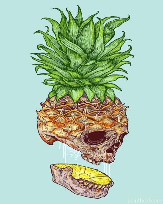 Dead Pineapple Painting By Numbers Kits